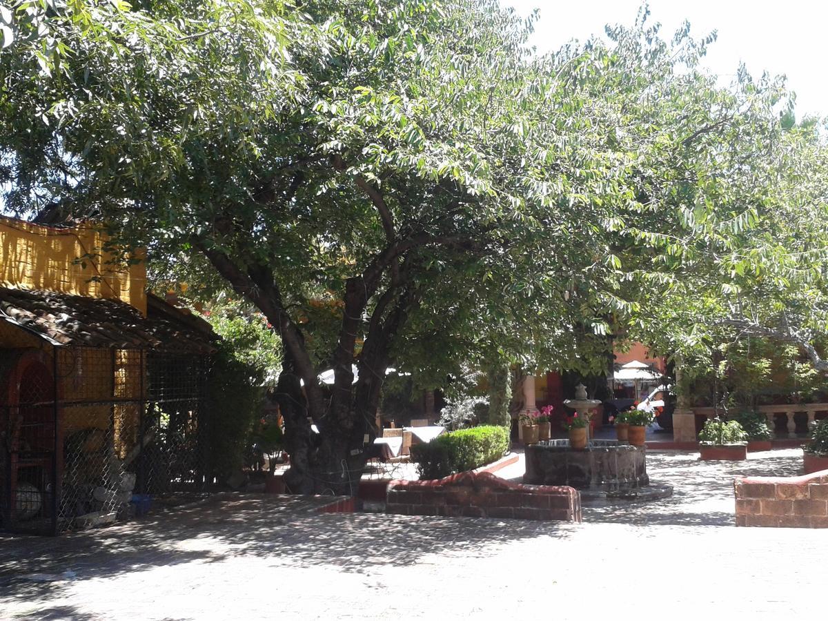 סאן מיגל דה אלנדה Hotel Sautto מראה חיצוני תמונה