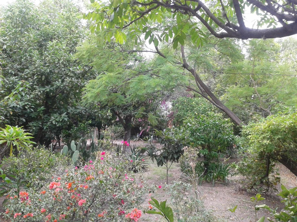 סאן מיגל דה אלנדה Hotel Sautto מראה חיצוני תמונה